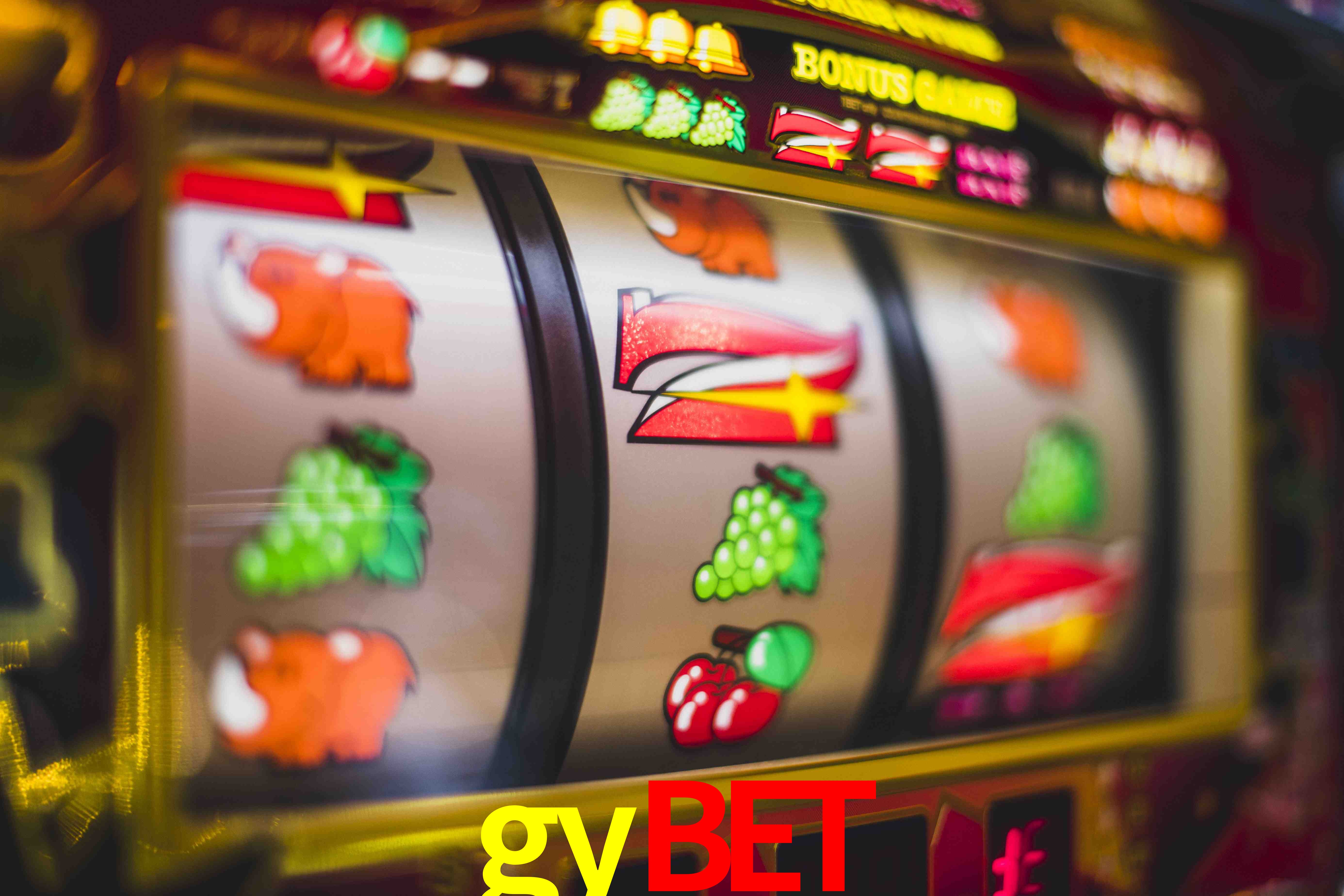Basketball Betting gybet